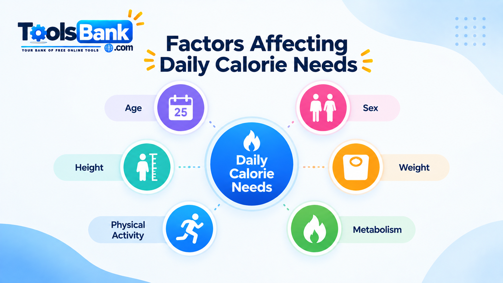 Factors including age, height, weight, sex, activity, and metabolism that affect calorie needs